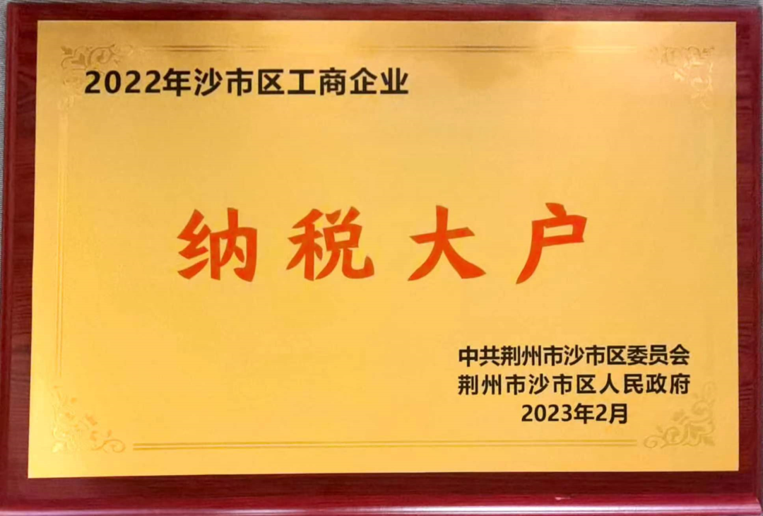 j9九游国际真人公司参加沙市区加快建设城乡一体化示范区 奋进百强进位新征程会议荣获表彰